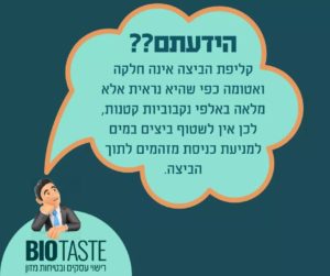 הידעת